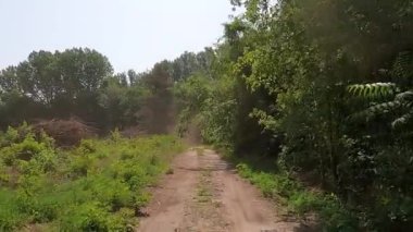 Avrupa 'da bir 4x4 safarinin izleri ve izleri. Yaz ağacı çayırında ön manzara.