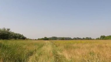 Avrupa 'da bir 4x4 safarinin izleri ve izleri. Yaz ağacı çayırında ön manzara.