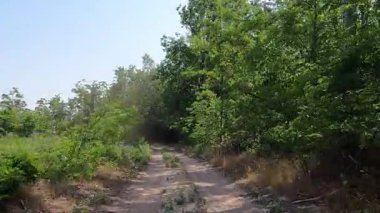 Avrupa 'da bir 4x4 safarinin izleri ve izleri. Yaz ağacı çayırında ön manzara.