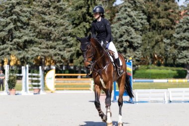 Babolna Macaristan 'da zıplamayı göster. Babolna Macaristan - 11 Nisan. 2024: Babolna 'da bilinmeyen binici Atlama Yarışması' nda yarışıyor