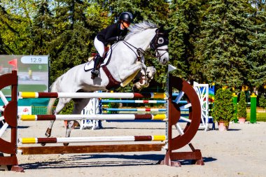 Babolna Macaristan 'da zıplamayı göster. Babolna Macaristan - 11 Nisan. 2024: Babolna 'da bilinmeyen binici Atlama Yarışması' nda yarışıyor