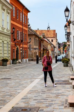 Gyor Macaristan 11 Mayıs 2025: Macaristan 'ın Gyor kentindeki Kayıp Ahit Sandığı. Tipik Barok sokak sahnesi. Binalar ve kaldırımlı meydan.