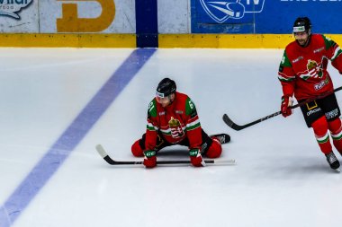 Macaristan Szekesfehervar 2 Mayıs 2025 Dünya Şampiyonası buz hokeyi karşılaşması Macaristan - Slovenya 2-4