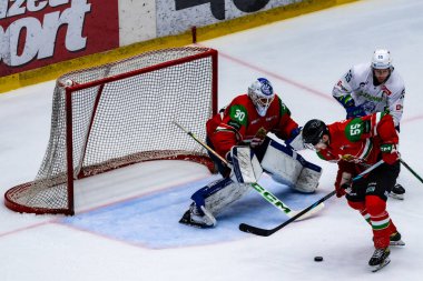 Macaristan Szekesfehervar 2 Mayıs 2025 Dünya Şampiyonası buz hokeyi karşılaşması Macaristan - Slovenya 2-4