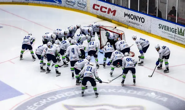 Macaristan Szekesfehervar 2 Mayıs 2025 Dünya Şampiyonası buz hokeyi karşılaşması Macaristan - Slovenya 2-4