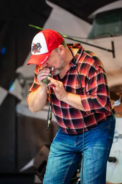 Dunaharaszty Macaristan Temmuz. 31 2024: Tanımlanamayan insanlar bir rock konserinde dans ediyorlar. Rockabilly.