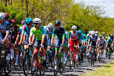 Macaristan 17 Mayıs 2025: 4. aşama sırasında destek araçlarıyla birlikte sürücüler ve destek ekibi. 