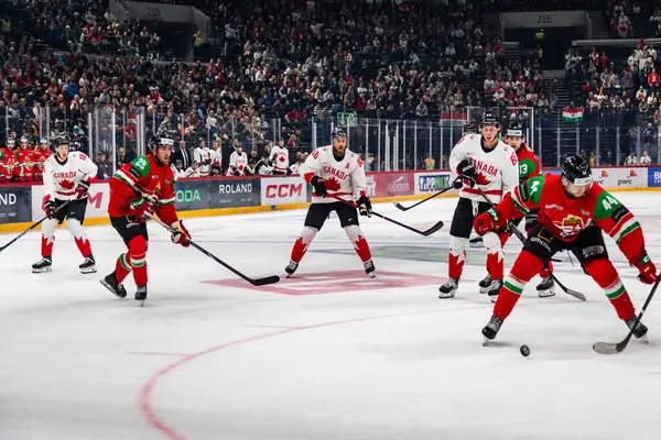 Macaristan Budapeşte Mayıs 05: 2025: Dünya Şampiyonası ısınma buz hokeyi maçı Kanada - Macaristan 6-0