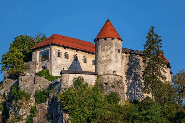 Château Bled Slovénie Forteresse Médiévale Perchée Sur Une Colline Rocheuse — Photo