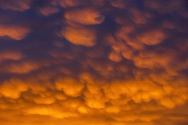 Sonnenuntergang Himmel Mit Altocumulus Wolken Flauschige Wolkenlandschaft Hintergrund — Stockfoto
