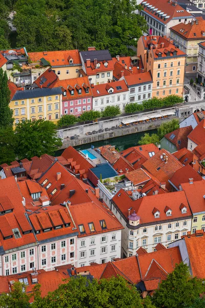 Город Любляна Словении Вид Над Красными Кафельными Домами Обе Стороны — стоковое фото