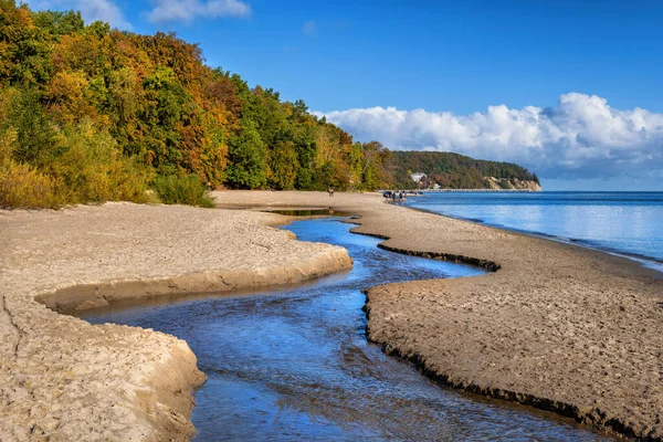 Baltık Denizi Swelina Deresi Sonbahar Ormanı Sahili Gdynia Polonya Daki — Stok fotoğraf