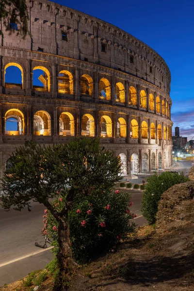 Koloseum Nocy Rzymie Włoszech Starożytny Flavian Amfiteatr Stadion Gladiatorów Krzak — Zdjęcie stockowe