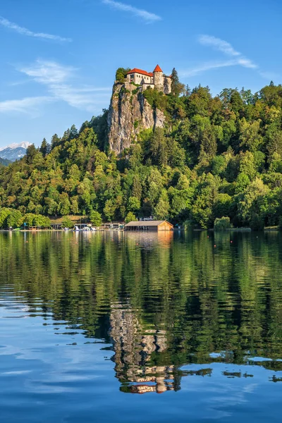 布莱德湖上的被炸城堡 中世纪的城堡座落在斯洛文尼亚北部的森林悬崖上 — 图库照片