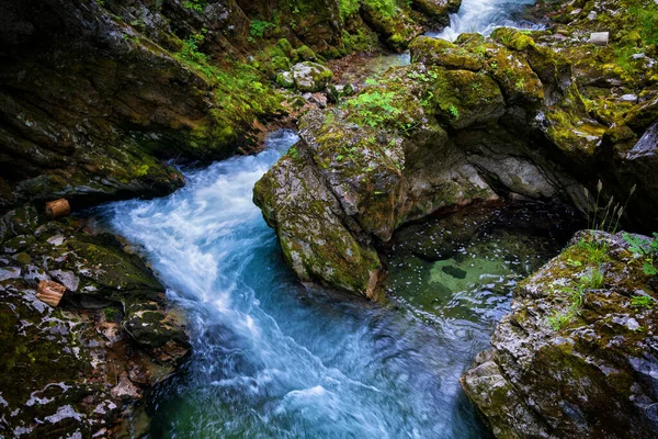 Hızlı Dağ Nehri Radovna Nın Vintgar Vadisi Julian Alps Triglav — Stok fotoğraf
