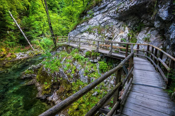 スロベニアのヴィンタール渓谷 トリグラフ国立公園 ジュリアンアルプスの山の川Radovnaに沿って高架木道と風景 — ストック写真