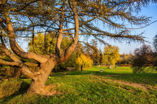 Prince Janusz Park Varsovan Kaupungissa Puolassa Yleinen Puisto Maisemia Syksyllä — kuvapankkivalokuva