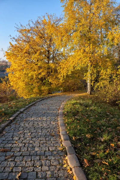 阳光明媚的秋天公园里的鹅卵石小巷 — 图库照片