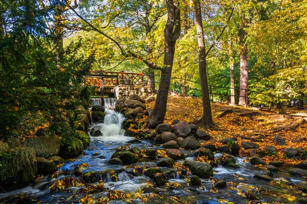 Park Oliwski Podzimní Krajina Vodopádem Lávkou Městě Gdaňsk Polsku — Stock fotografie