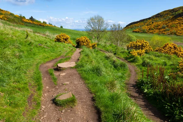Wiosenny Krajobraz Szlakiem Turystycznym Parku Holyrood Edynburgu Szkocja Wielka Brytania — Zdjęcie stockowe