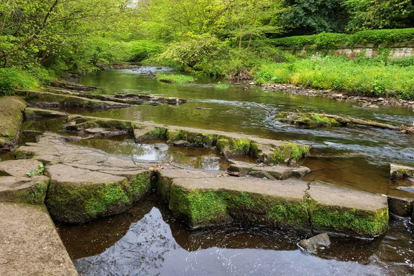 Woda Rzeki Leith Przepływająca Przez Edynburg Szkocji Wielka Brytania — Zdjęcie stockowe