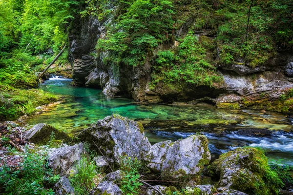 Alpine Landscape Radovna River Vintgar Gorge Triglav National Park Slovenia — 스톡 사진