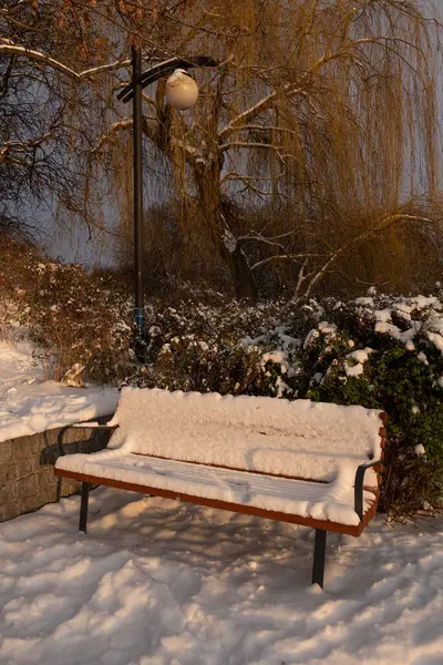 Winterpark Landschap Met Bank Bedekt Met Verse Sneeuw Bij Zonsondergang Stockfoto