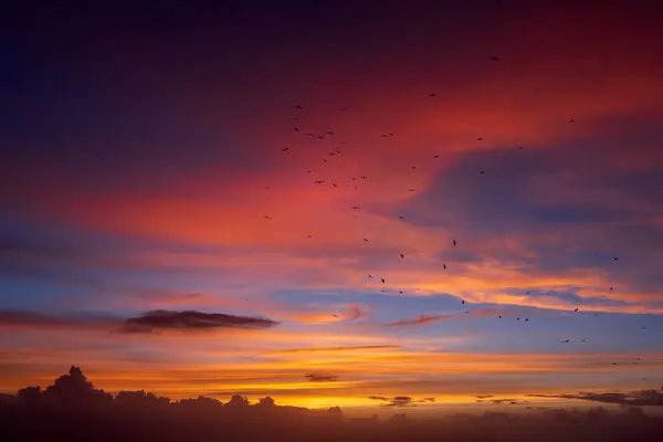 Solnedgång Himlen Vacker Molnlandskap Med Varma Färger Och Flock Fåglar Stockbild