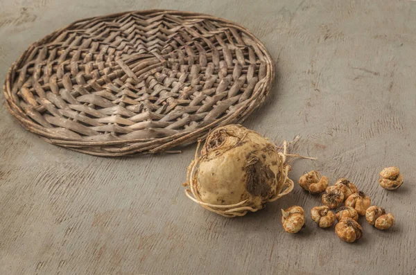在种植在灰色桌子上的柳条圈上之前 帝国时代的弗里斯兰和弗里斯兰的鳞茎 — 图库照片