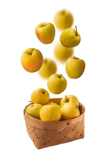 Düşen Uçan Sarı Elmalar Beyaz Arka Planda Izole Edilmiş Sepetteki — Stok fotoğraf