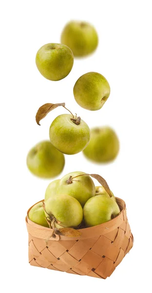 Düşen Yeşil Elma Çeşidi Reinette Simirenko Beyaz Arka Planda Izole — Stok fotoğraf