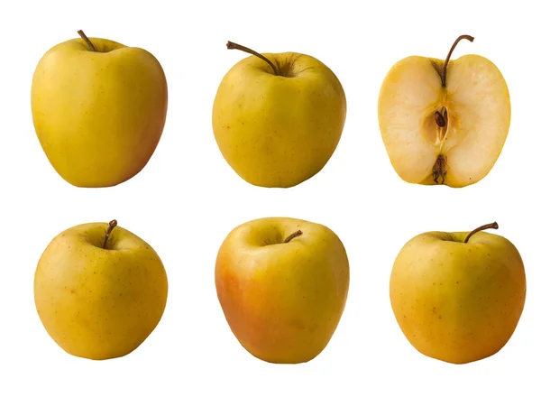 Ange Äppelsort Golden Delicious Vit Bakgrund Isolerad — Stockfoto