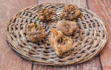 Baharda ekmek için filizlenen bitkisel tomurcuklu beş Calla ampulü veya Calla borusu veya Zantedeschia yumrusu.