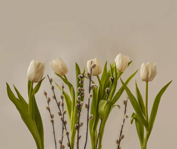 Fehér Tulipánok Fűzfaágak Szürke Háttérrel Háttér Banner Naptár Poszter — Stock Fotó