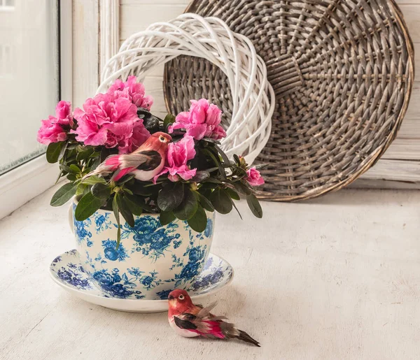 Blommande Rosa Azaleor Fönsterbrädan För Vårlovet Azalea Blommar Vintage Kruka — Stockfoto