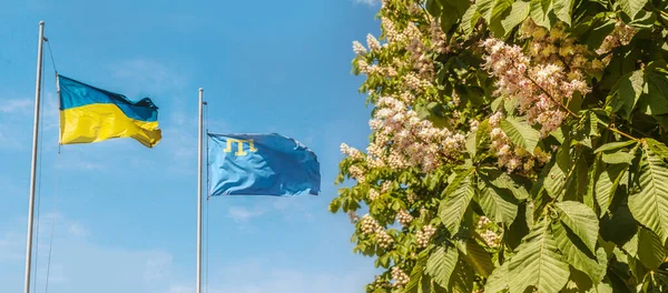 Bandeira Voadora Ucrânia Crimeia Céu Azul Símbolos Estatais Ucrânia — Fotografia de Stock