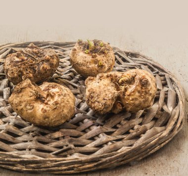 Calla soğanı, Calla yumrusu ya da Zantedeschia yumrusu dikmek için.