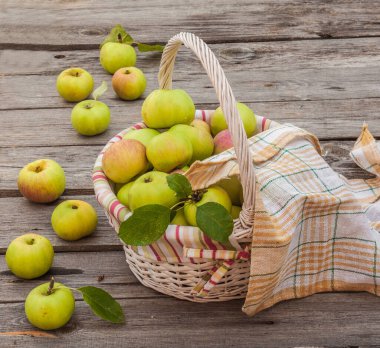 Beyaz sepetteki kış elmaları. Elma hasadı