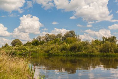Yazın Polesie 'de küçük bir nehir.