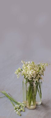 Vadinin çiçekli bahar zambakları gri arka planda. Kartpostallar, takvimler, iyi şanslar dilekleri, 