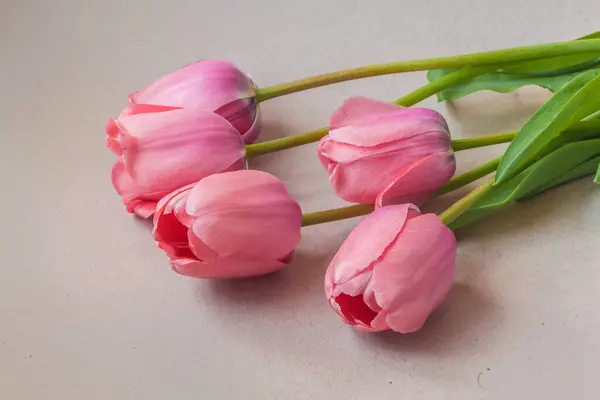 Ramo Cinco Tulipanes Rosados Sobre Fondo Gris Horizontal Antecedentes Para —  Fotos de Stock