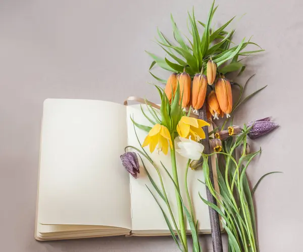Open Notebook Sketchbook Blooming Fritillaria Different Types Gray Table Flat — Stock Photo, Image