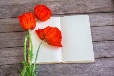 Üç haşhaş açık bir kitabın üzerinde ve boş bir sayfa. Afiş, afiş, unutulmaz bir tarih için takvim, metin için yer