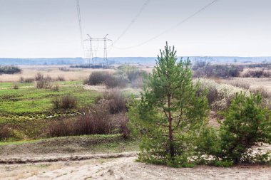 Kuleler, nehir vadisindeki bir sel yatağı boyunca elektrik hatlarını destekliyor.