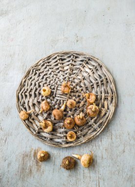 Gri bir masada lahanalı kraker ampulleri. Düz yatıyordu. Metin için boşluk.