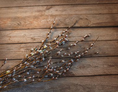 Willow branches with catkins, blooming willow, a bouquet on a wooden table. Night lighting highlights the delicate nature of goat willow, evoking Palm Sunday vibes. Flat lay. Space for text.