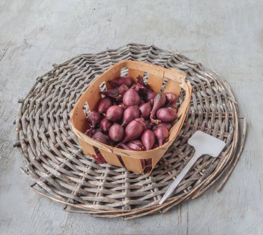 Red Baron soğan sepetinde, bahar ekimi için hazır. Kırsal bir masada taze organik ampuller. Bahçıvanlık, tarım ve tarım temalı tasarımlar için mükemmel. Düz yatıyordu