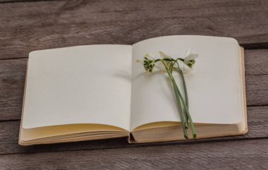 Kar damlaları açık bir defterin boş sayfalarında yatar. Yumuşak bir bahar havası yaratır. Boş alan metin yerleştirmeye izin verir, mevsimlik iletiler, tasarımlar ve yaratıcı projeler için mükemmel hale getirir.