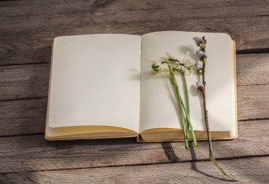 Snowdrops, pussy willows   on the empty pages of an open notebook, creating a soft  spring mood. Space for text for seasonal messages, designs and creative projects.