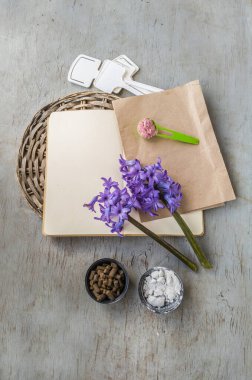 Çiçek açan mor sümbüller, üç çeşit bahçe besin maddesi (kahverengi topaklar, beyaz toz, kepçe içinde pembe gübre), boş defter, bahçe etiketleri ve kraft kağıdı içeren düz konum. 